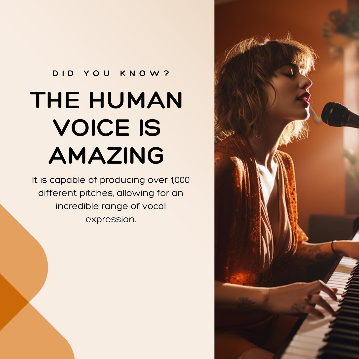 Musician Social Media Canva Templates | Social Media Planner and Analytics Guide | Music Marketing Kit for Artists, Bands & Producers - Social Canvas
