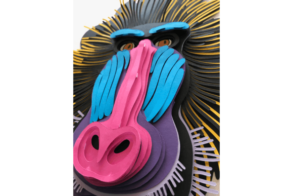 Baboon Clipart – High-Quality PNGs for Wildlife & Jungle-Themed Designs (MRR)