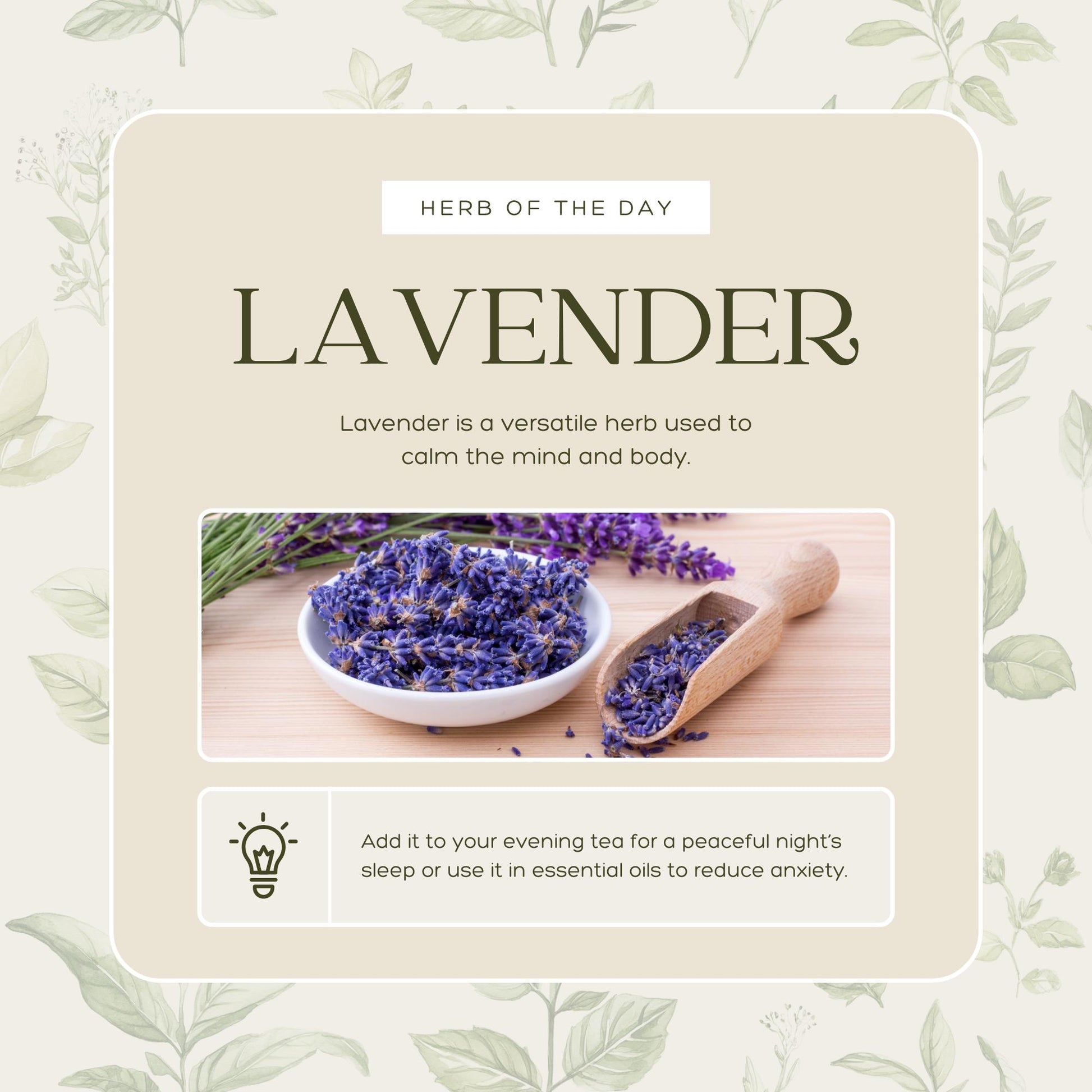 50 Herbal Wellness Social Media Templates | Social Media Planner and Analytics Guide | Holistic Health, Natural Remedies | Herbal Education - Social Canvas