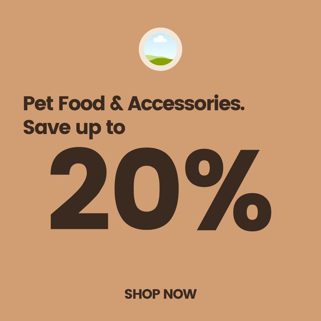 60 Pet Shop Canva Templates | Social Media Planner and Analytics Guide | Pet Stores and Animal Services | Pet Care and Promotion Posts - Social Canvas