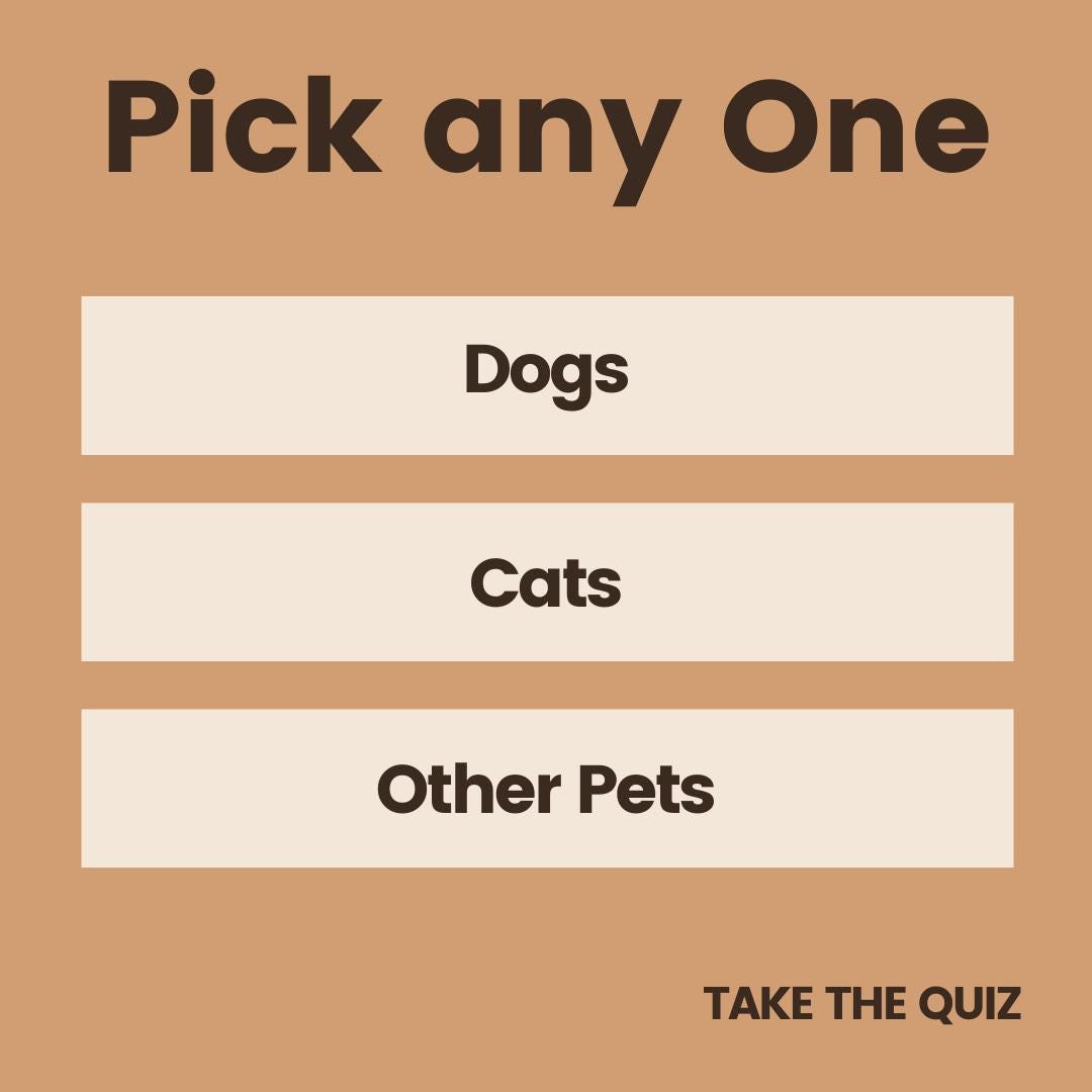 Pet Shop Canva Templates | Social Media Marketing Kit for Pet Stores and Animal Services | Pet Care and Promotion Posts | Digital Download - Social Canvas