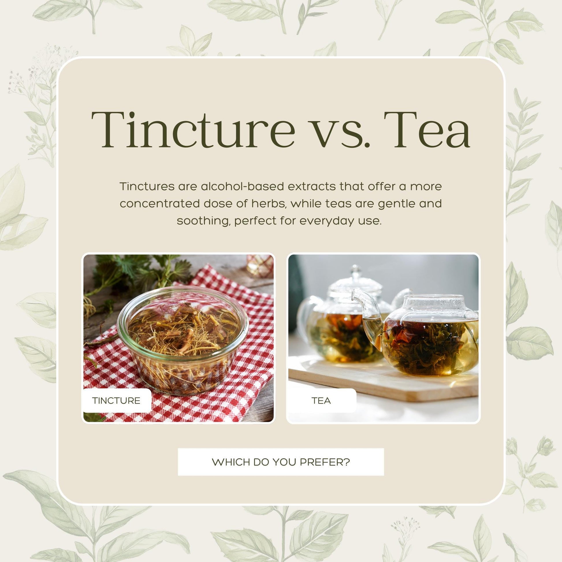 50 Herbal Wellness Social Media Templates | Social Media Planner, Analytics Guide and 800 Faceless Videos | Holistic Health, Natural - Social Canvas