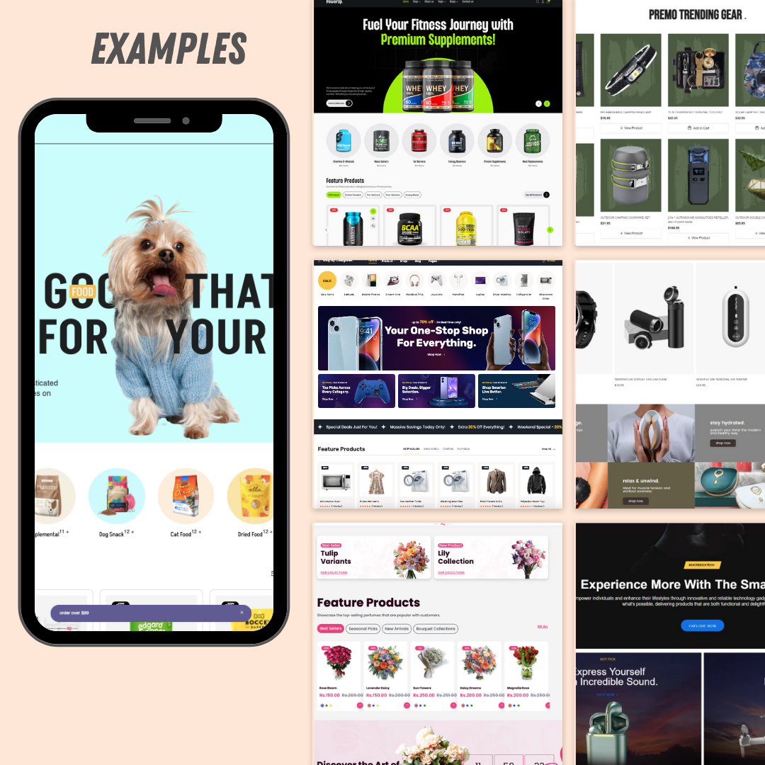 High Converting Shopify Dropshipping Store - includes $20 in Facebook ads