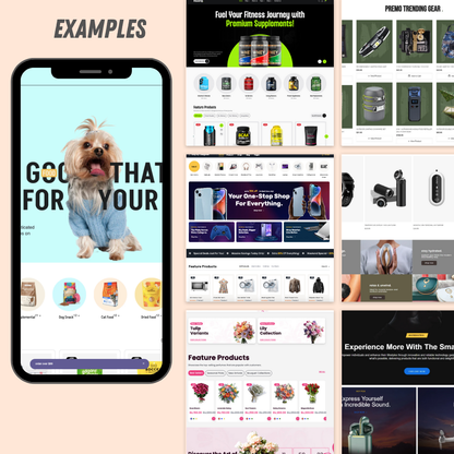 High Converting Shopify Dropshipping Store - includes $20 in Facebook ads