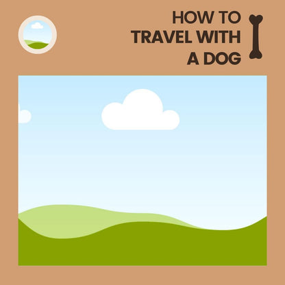 60 Pet Shop Canva Templates | Social Media Planner and Analytics Guide | Pet Stores and Animal Services | Pet Care and Promotion Posts - Social Canvas