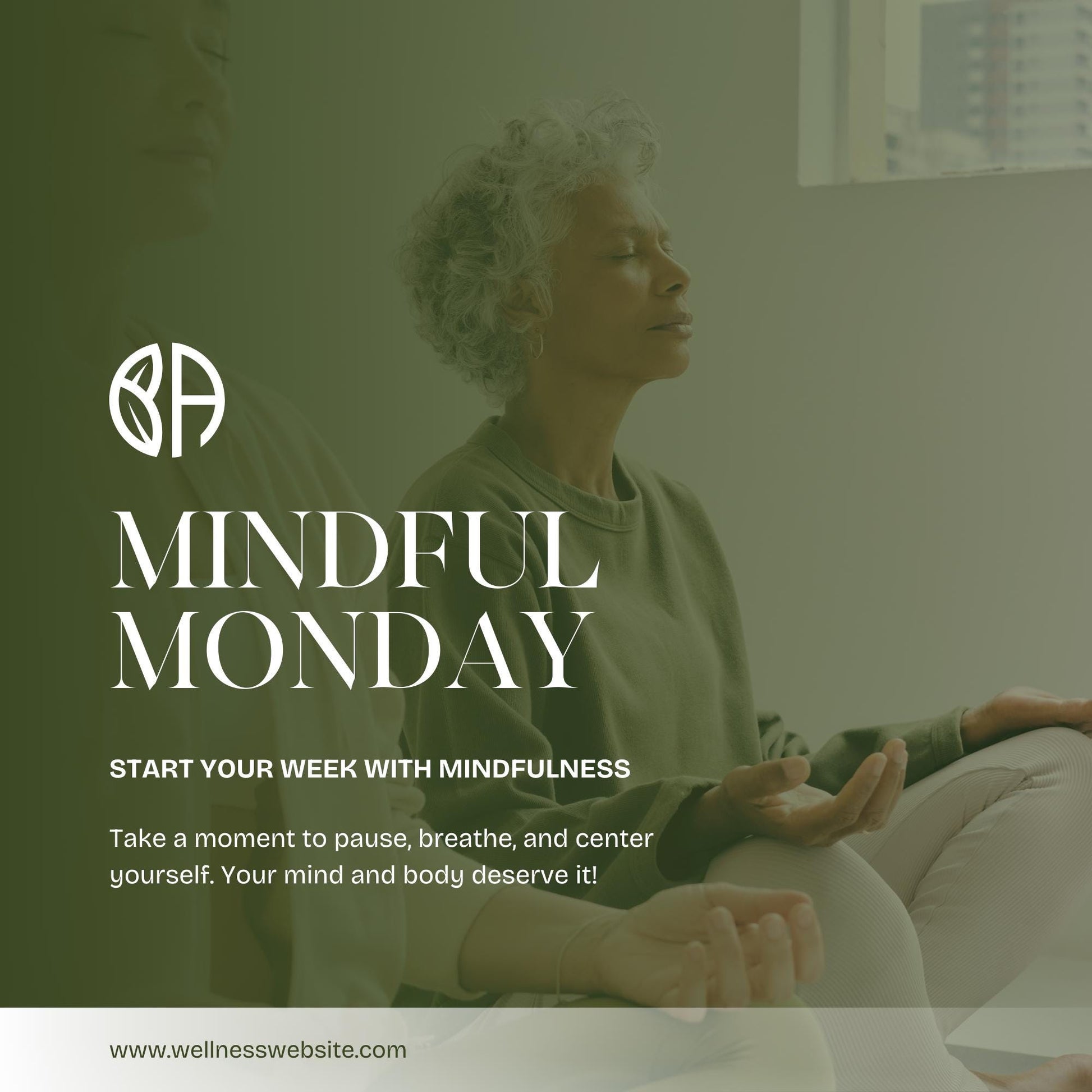 30 Wellness Clinic Social Media Templates | Editable Canva Templates | Holistic Health, Spa & Self-Care | Instant Download - Social Canvas
