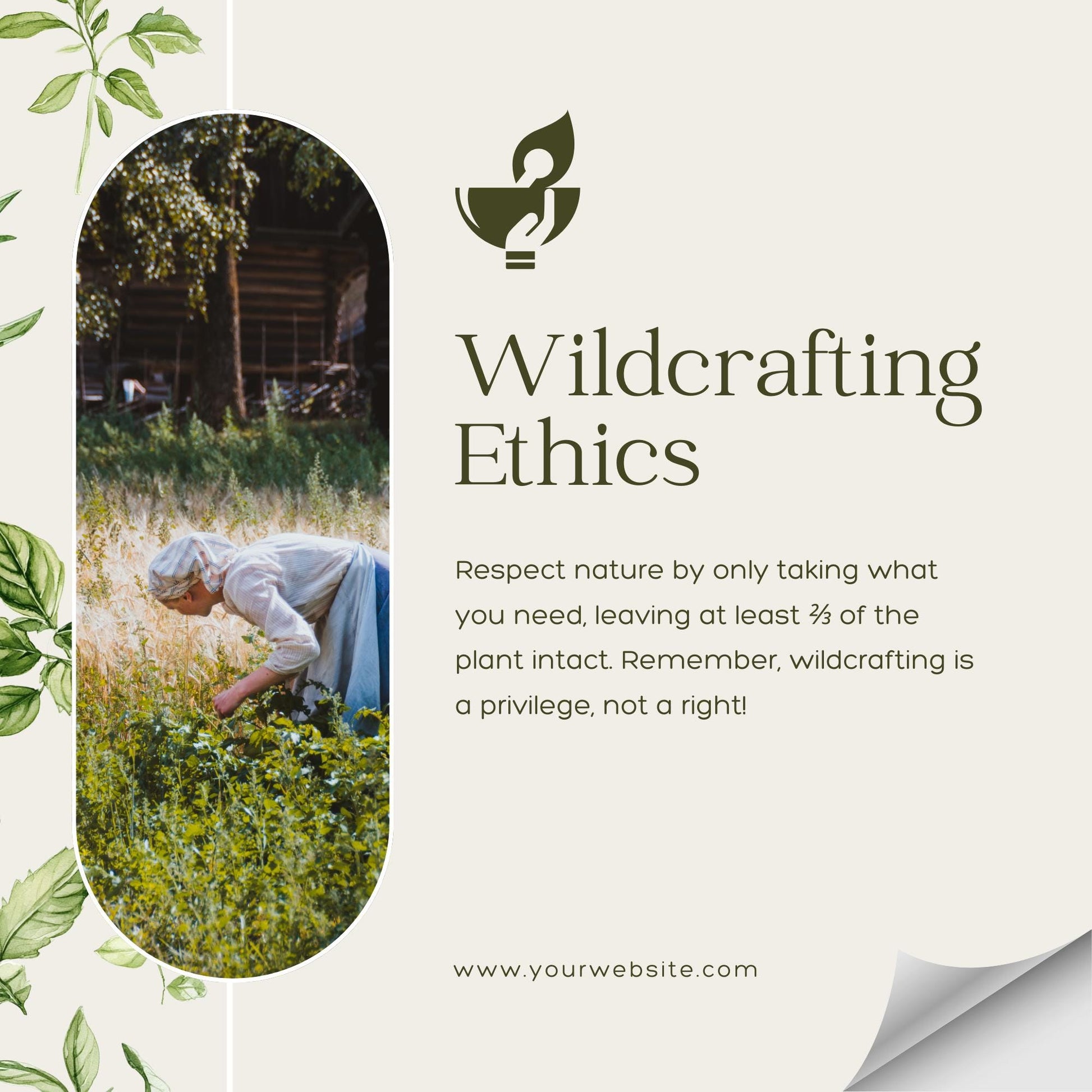 50 Herbal Wellness Social Media Templates | Social Media Planner and Analytics Guide | Holistic Health, Natural Remedies | Herbal Education - Social Canvas
