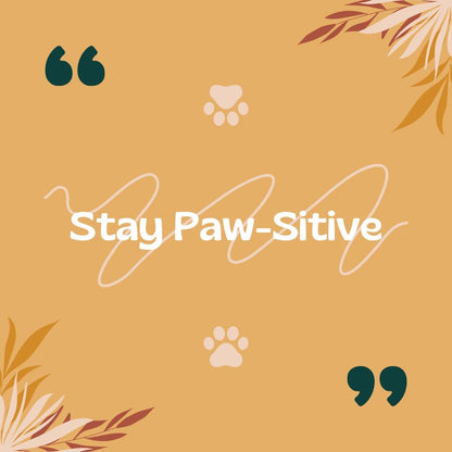 Pet Shop Canva Templates | Pet Stores | Animal Services | Pet Care | Social Media Planner, Analytics Guide and 800 Faceless Videos - Social Canvas